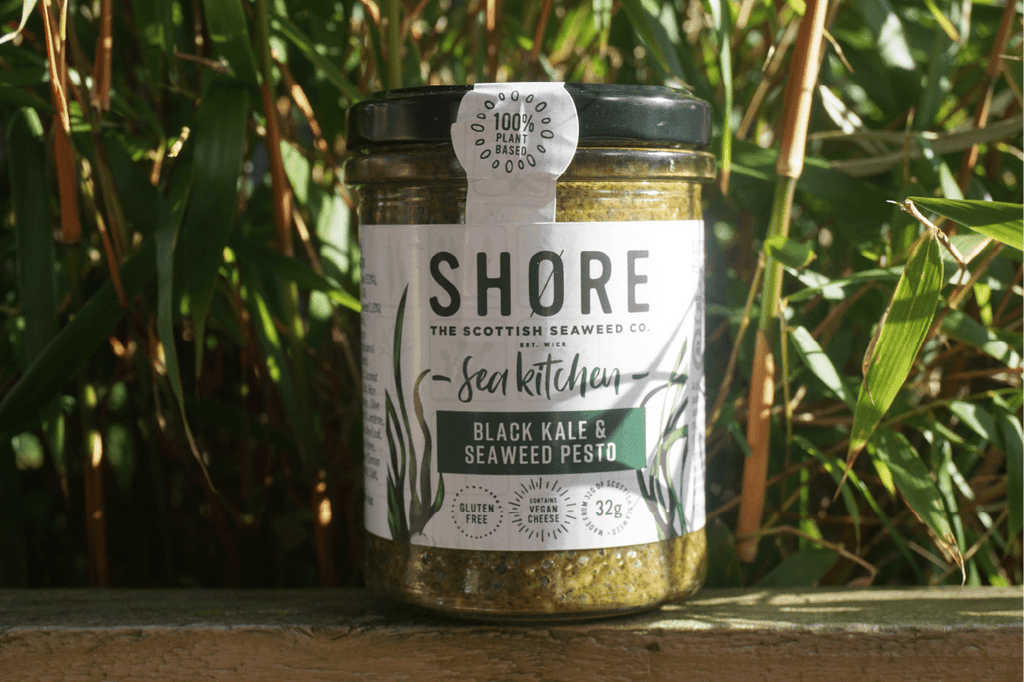 Shøre | Black Kale & Seaweed Pesto